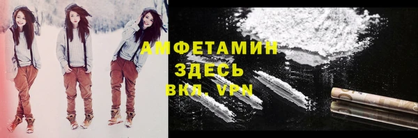 прущие грибы Баксан