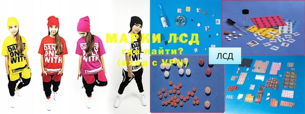 прущие грибы Баксан