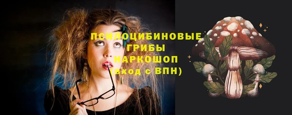 прущие грибы Баксан