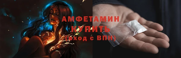 прущие грибы Баксан