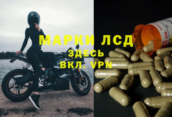 прущие грибы Баксан