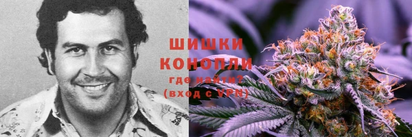 прущие грибы Баксан