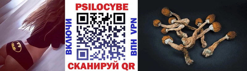 сколько стоит Дзержинск Псилоцибиновые грибы ЛСД